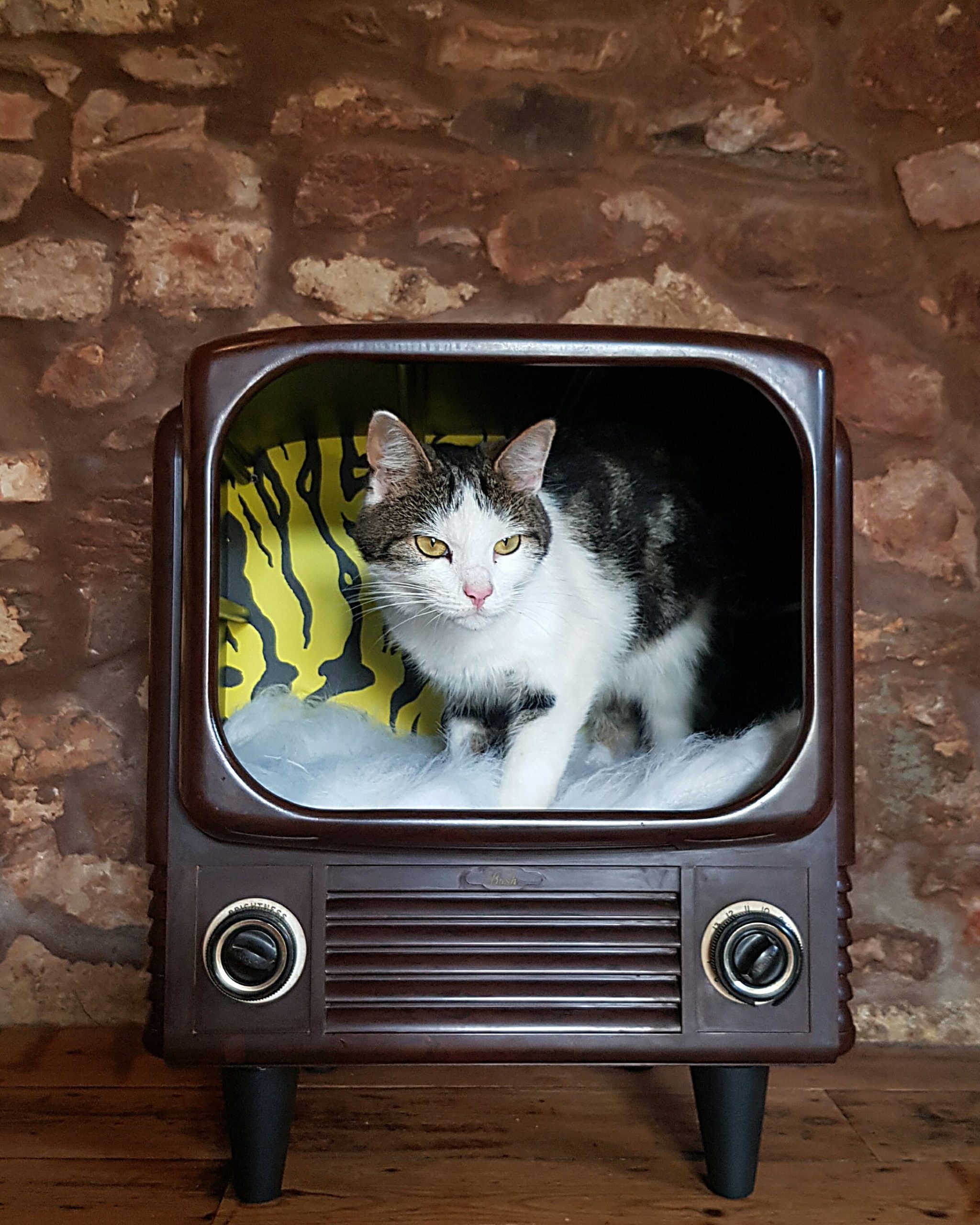 pet bed bakelite TV bush television