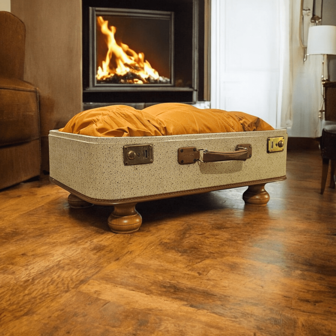 Vintage suitcase pet bed